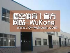 环境展示四