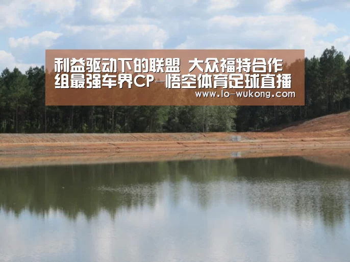 悟空体育直播