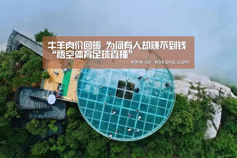 牛羊肉价回暖 为何有人却赚不到钱“悟空体育足球直播”(图1) 悟空体育足球直播